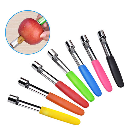 Stainless Fruit Core Extractor